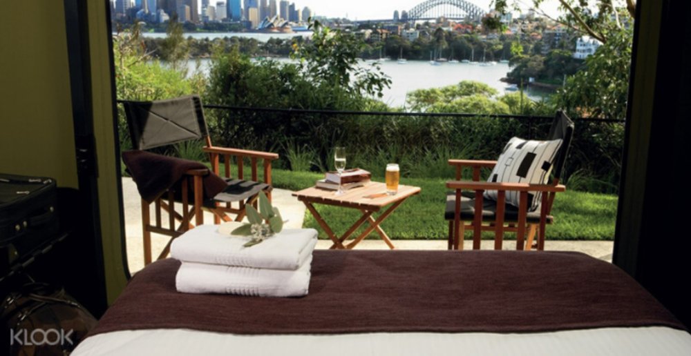 Roar and snore taronga zoo