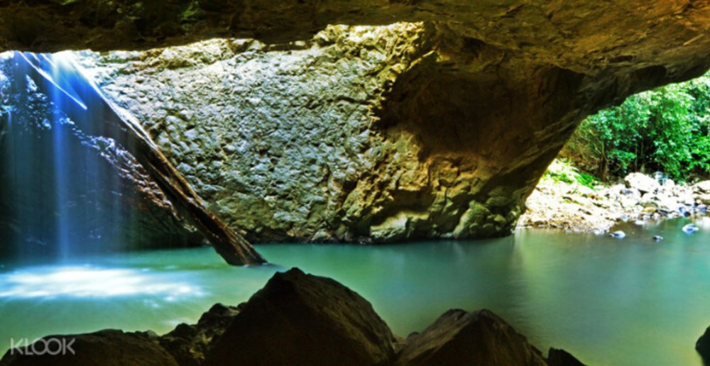 Glow worms Gold Coast