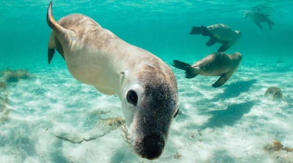 things to do in perth