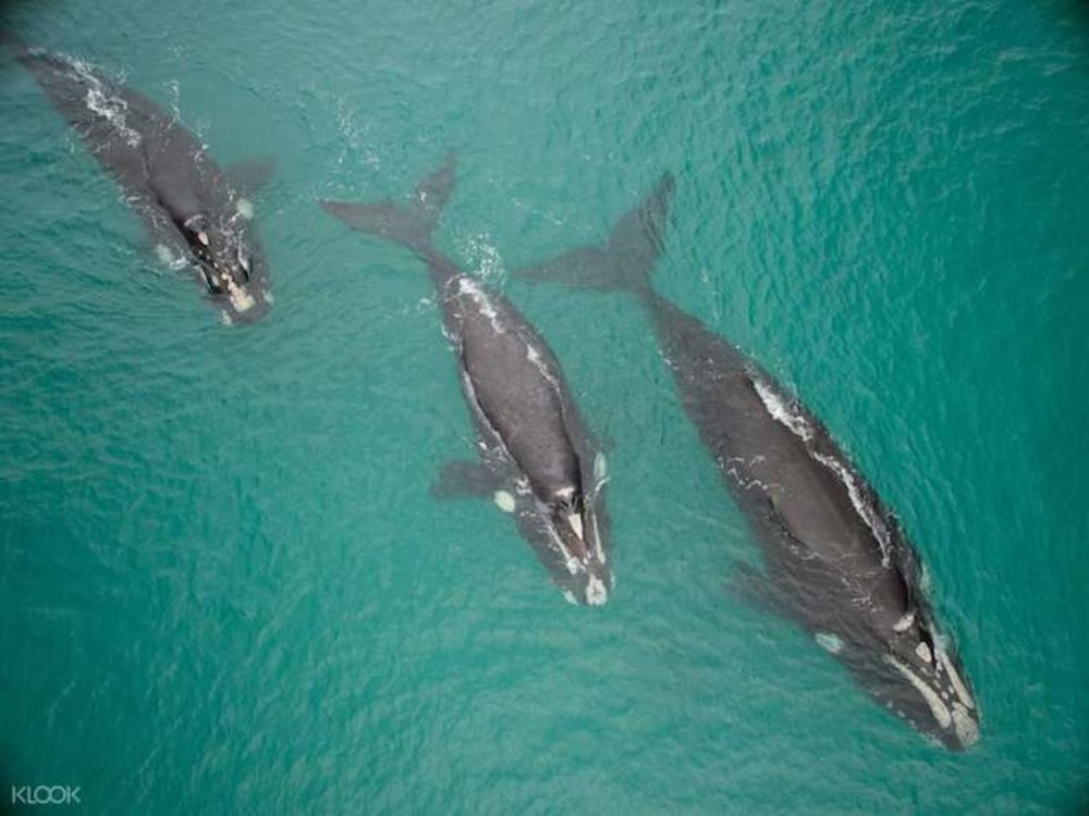 things to do in perth