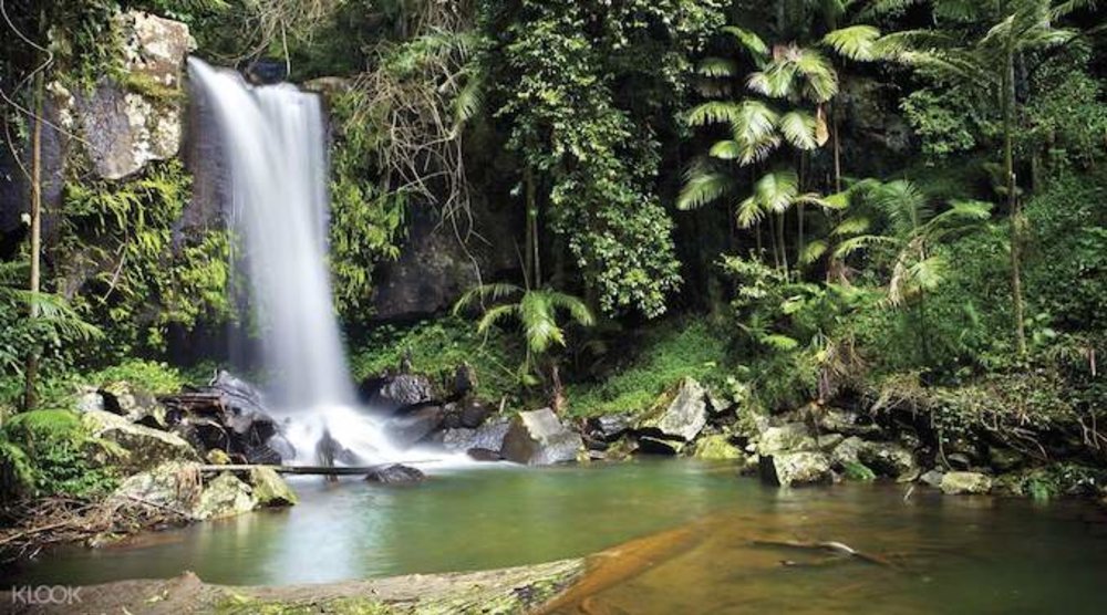 things to do on the gold coast