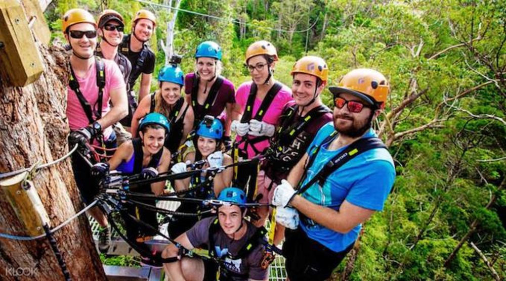 zipline gold coast