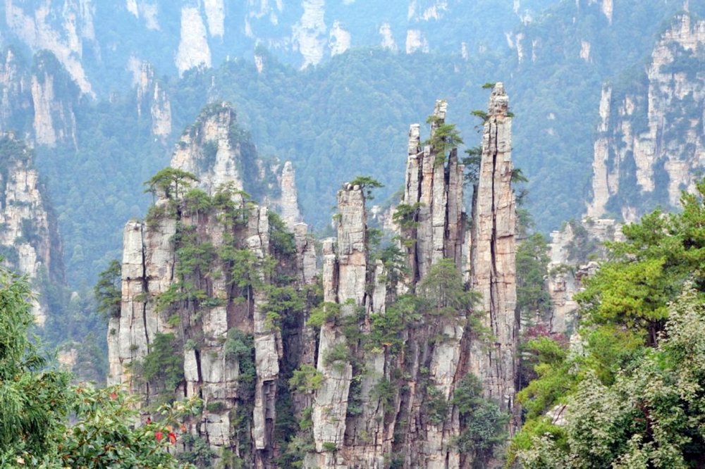 di-truong-gia-gioi-tu-tuc