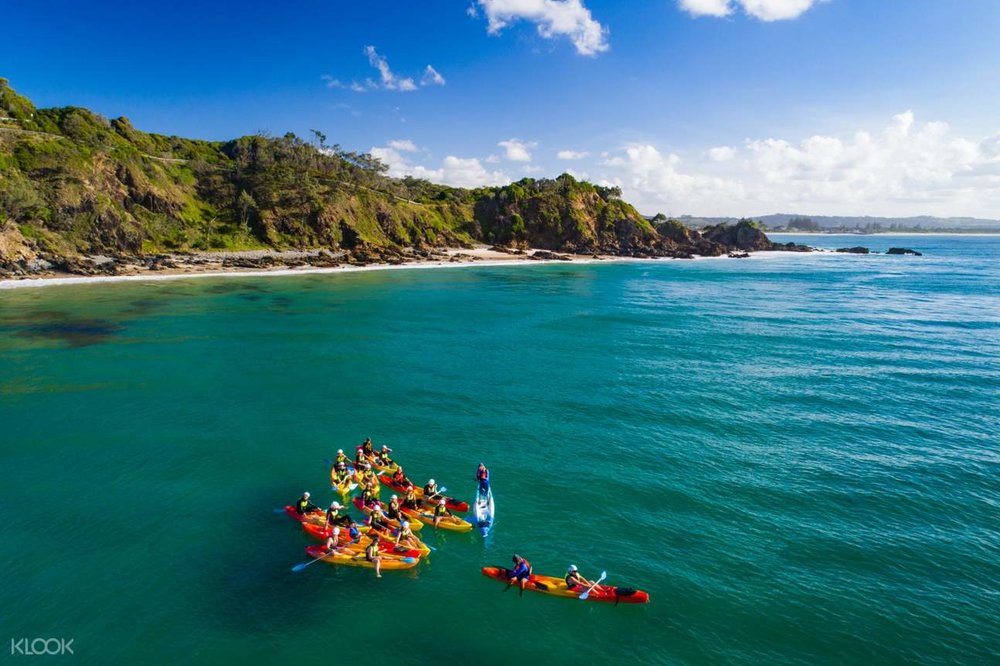 Dolphin Watching and Kayaking Experience from Byron Bay