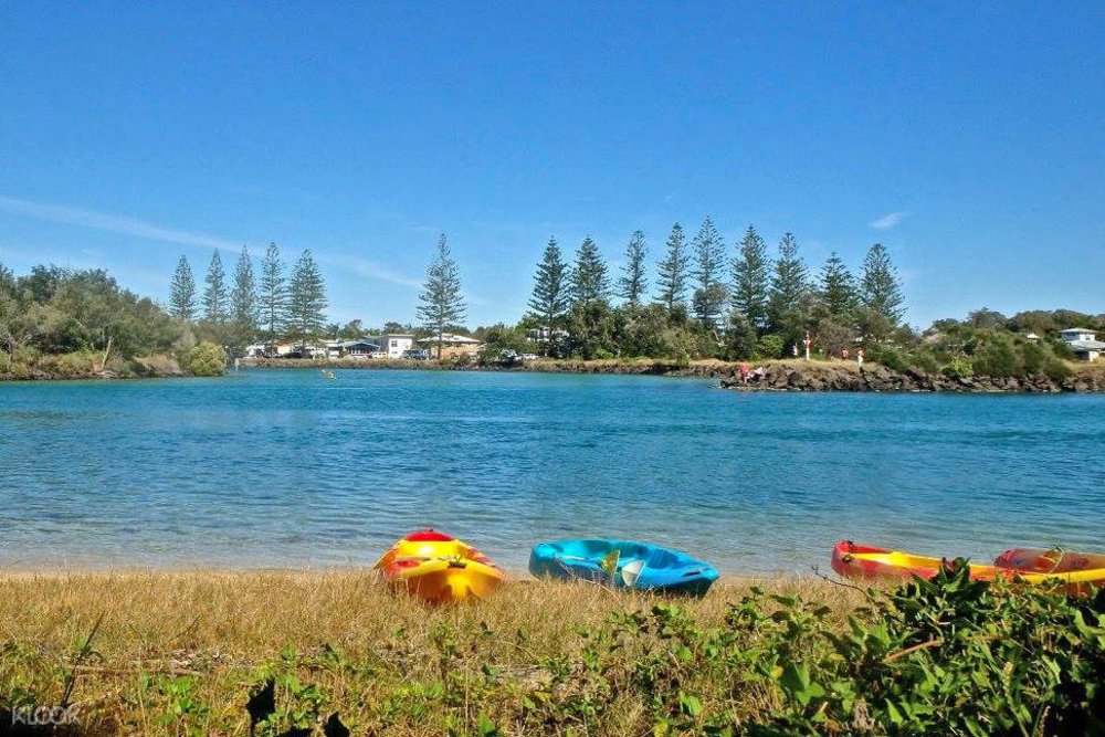 Brunswick River Kayaking Experience