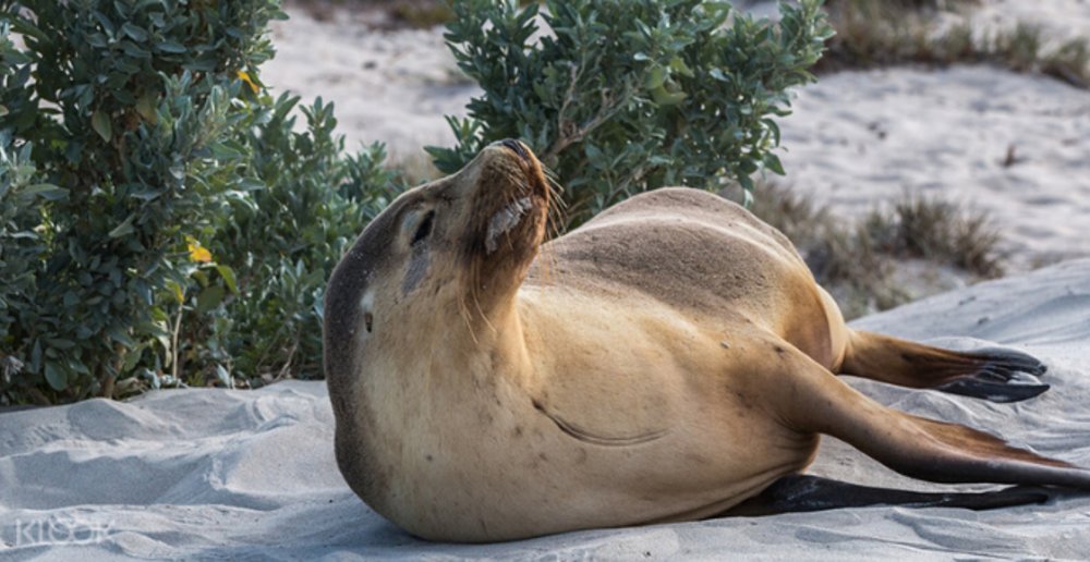 Flinders Chase National Park