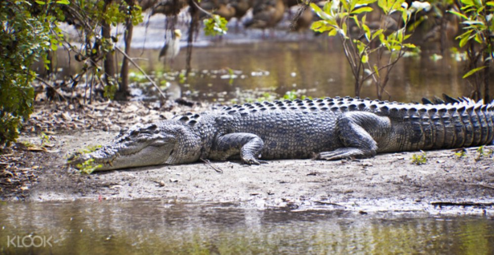 Kakadu National Park