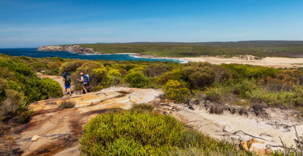 The Coast track, Royal National Park.