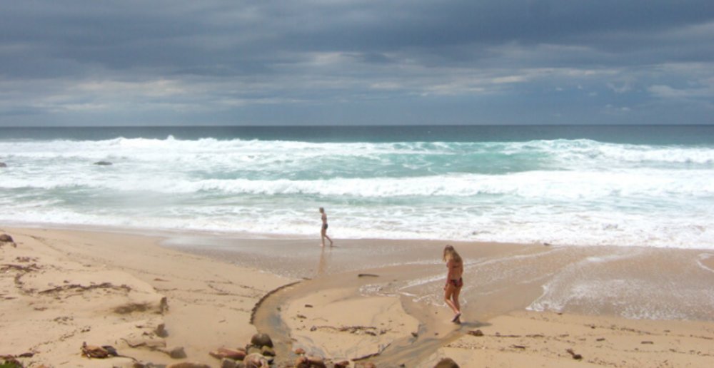 Werrong Beach track, Royal National Park.