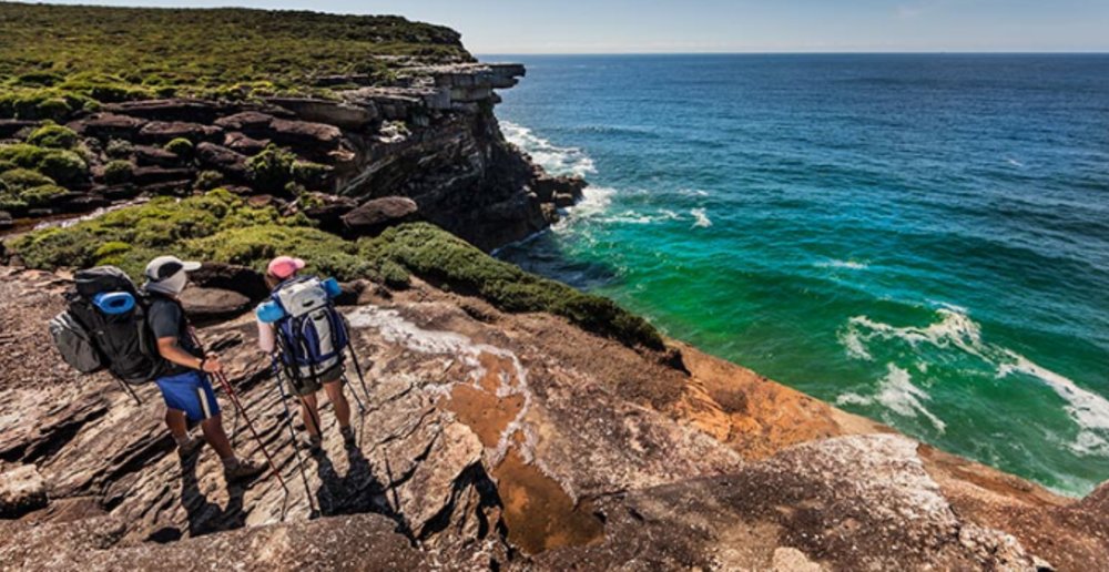 Curra Moors loop track, Royal National Park.