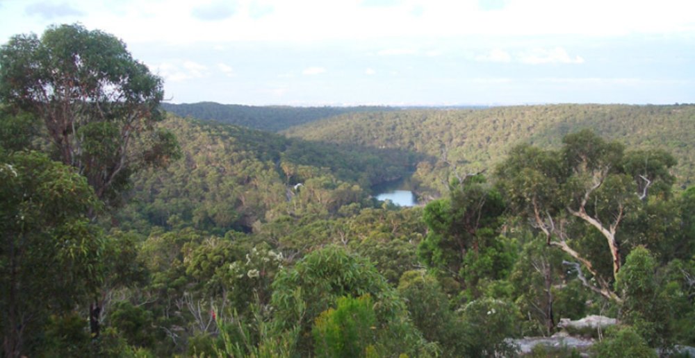 Uloola Track, Royal National Park.