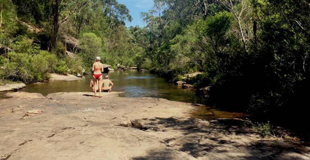 Karloo Walking Track Royal National Park