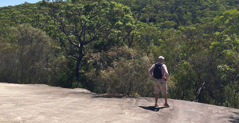 Karloo Walking Track Royal National Park