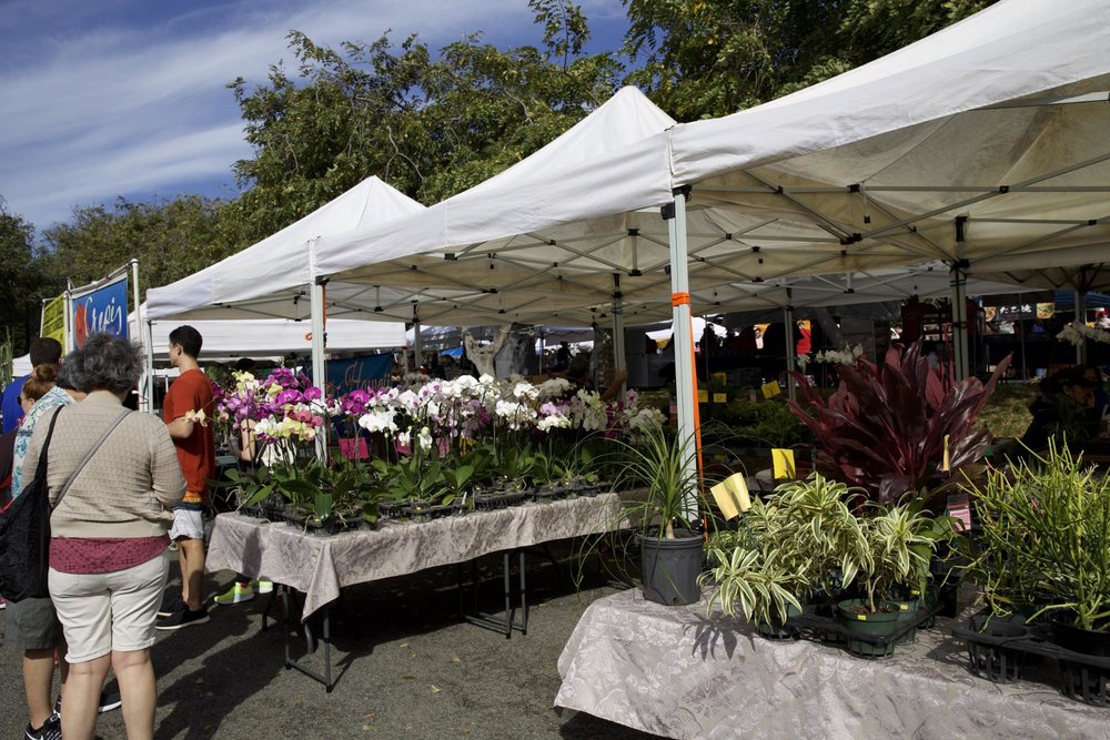 KCCファーマーズマーケット 食べ歩きレポート
