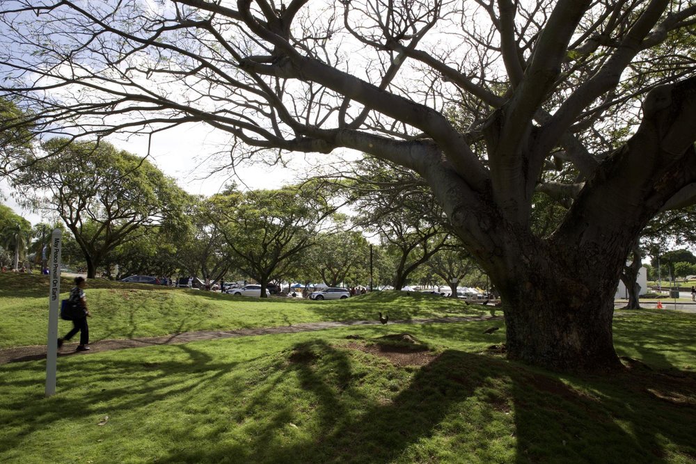 KCCファーマーズマーケットへの行き方（アクセス）