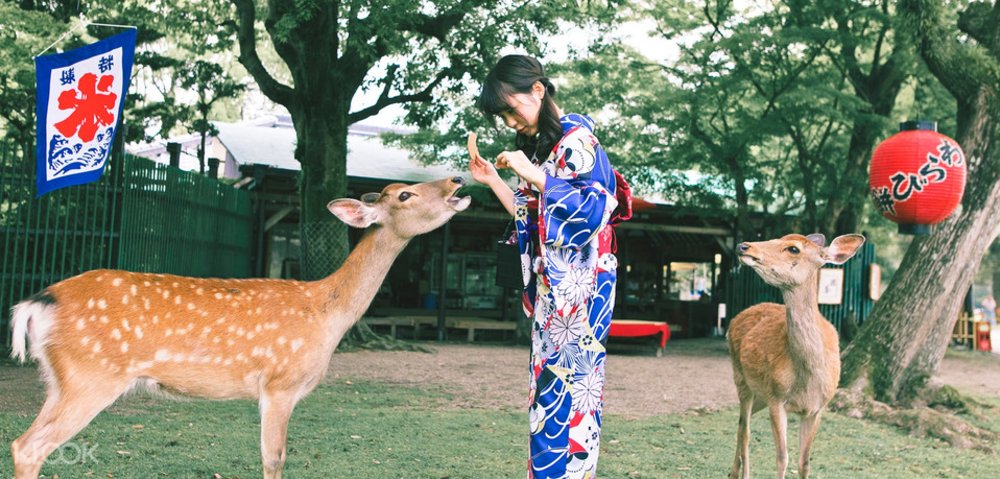 Nara Deer Park Kimono