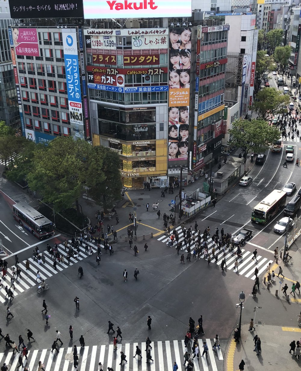 Tokyo Shibuya Crossing