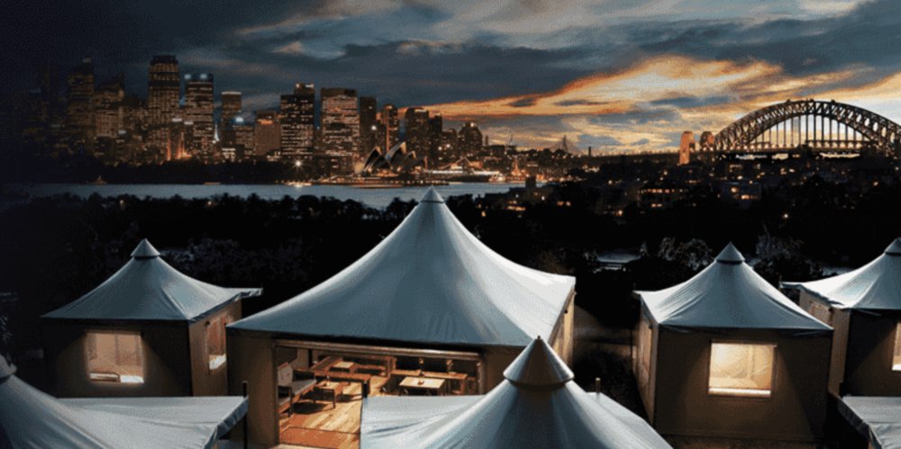 Taronga Zoo Road and Snore, Sydney