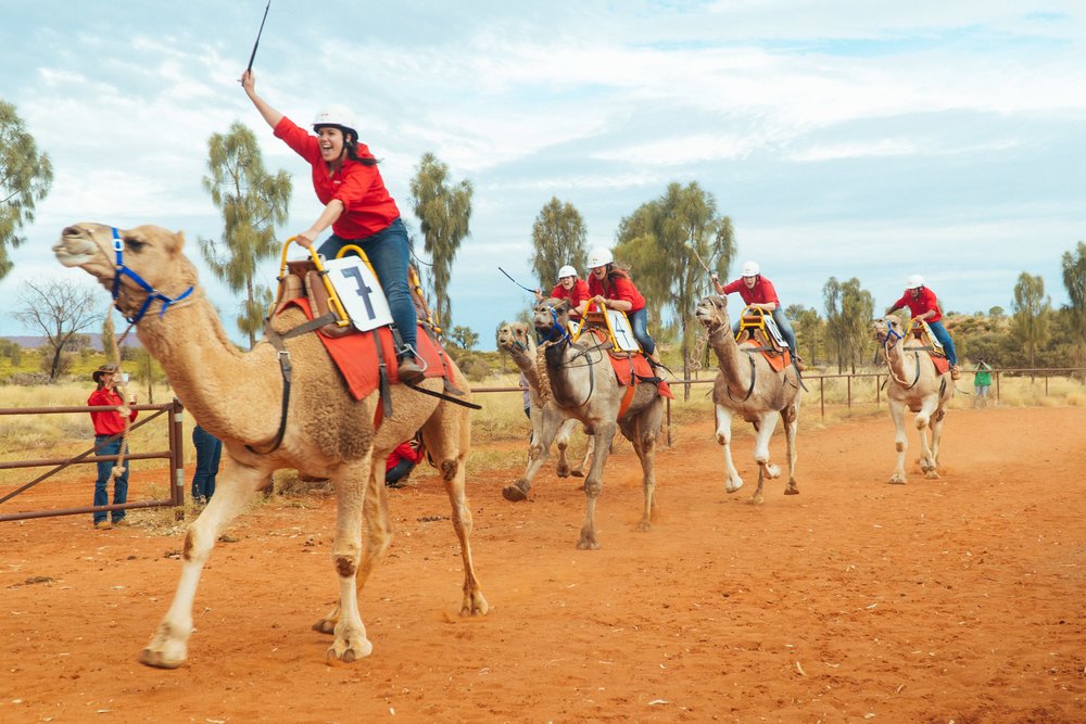 Camel Cup Uluru