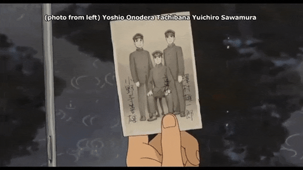 虞美人盛开的山坡