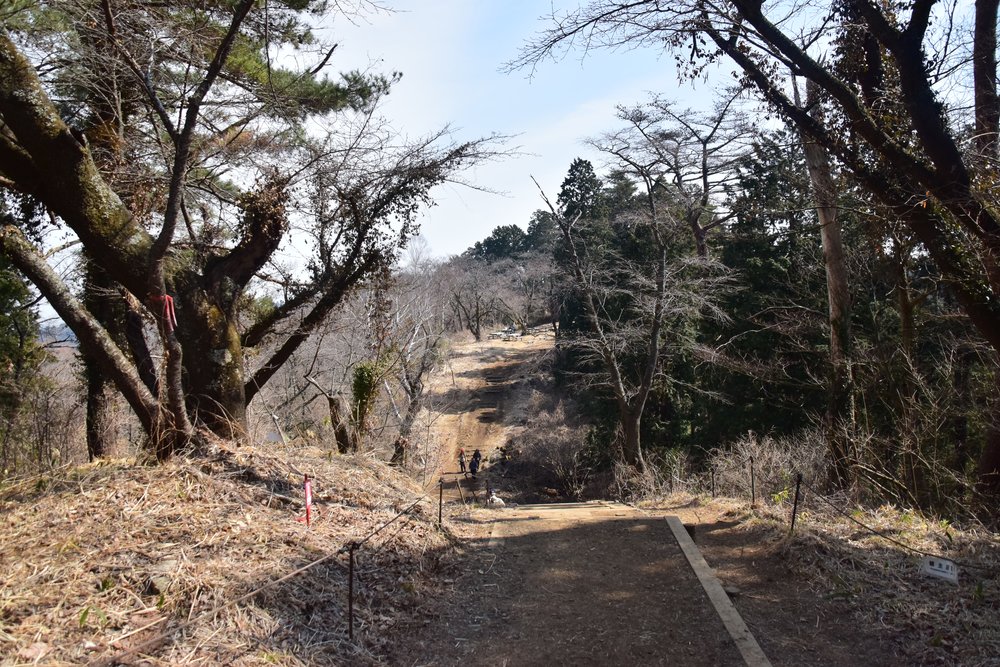 高尾山で登山