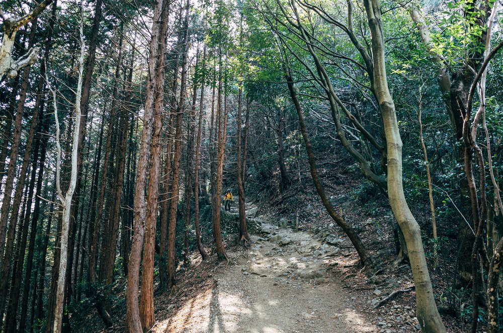 高尾山登山コース
