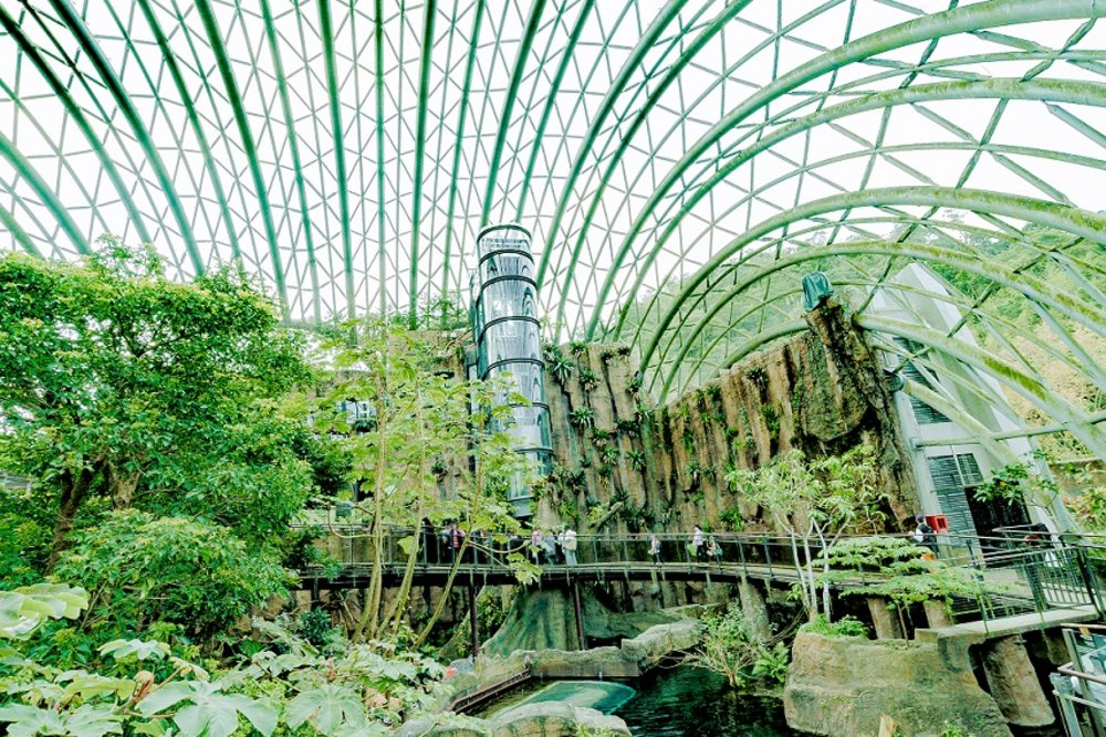 到台北市立動物園參觀新建成的穿山甲館