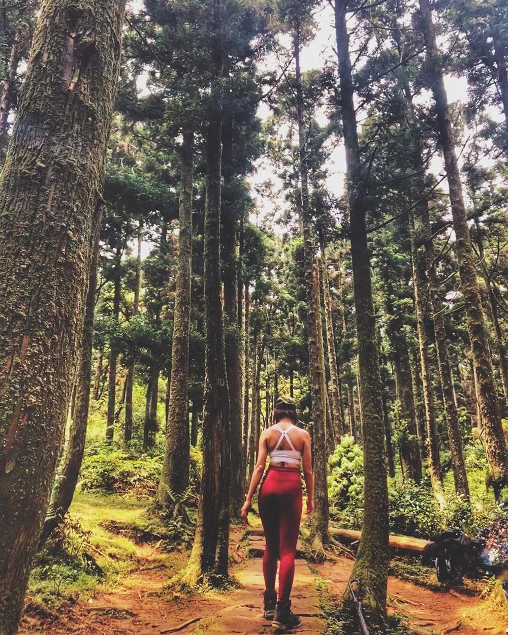 頂山石梯嶺步道