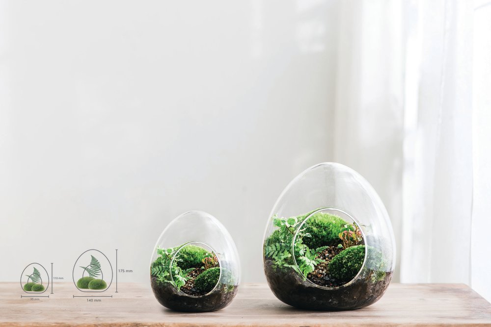 DIY Terrarium Forest In A Bottle