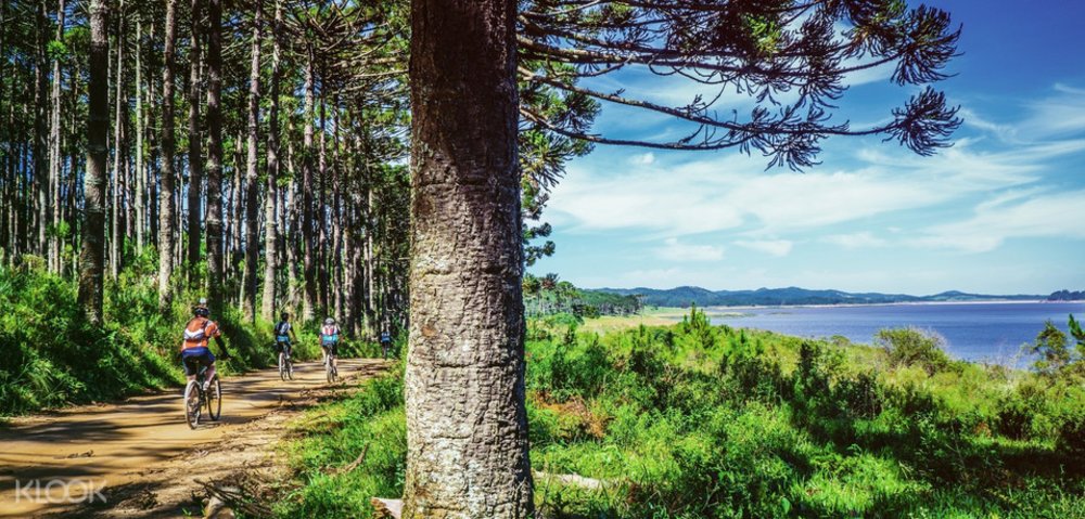 Phuket Countryside Half Day Biking Tour