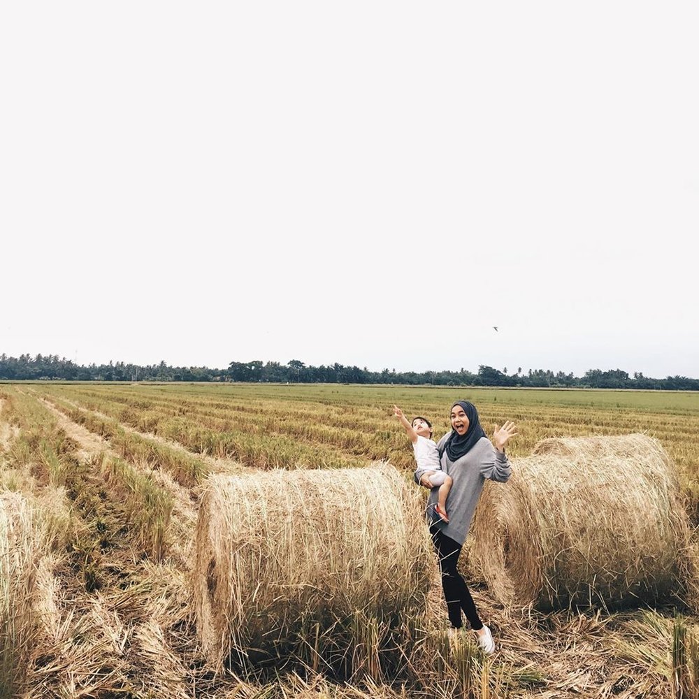 Sekinchan Paddy Fields