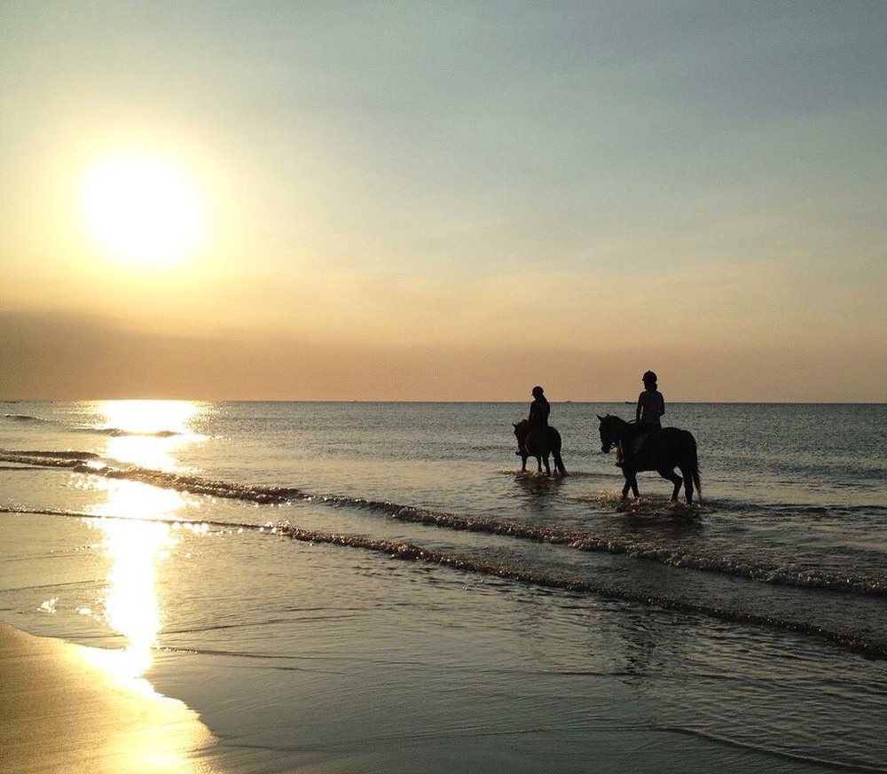 淡水 - 沙崙綠野馬場