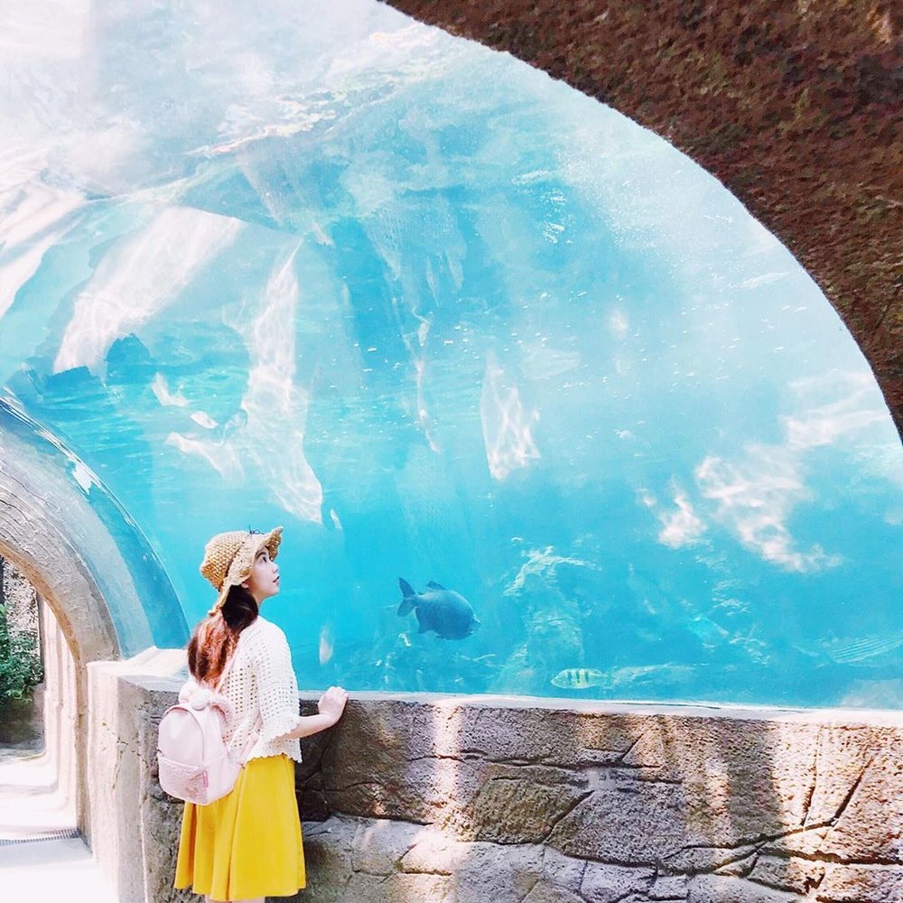 木柵動物園 - 藍色隧道