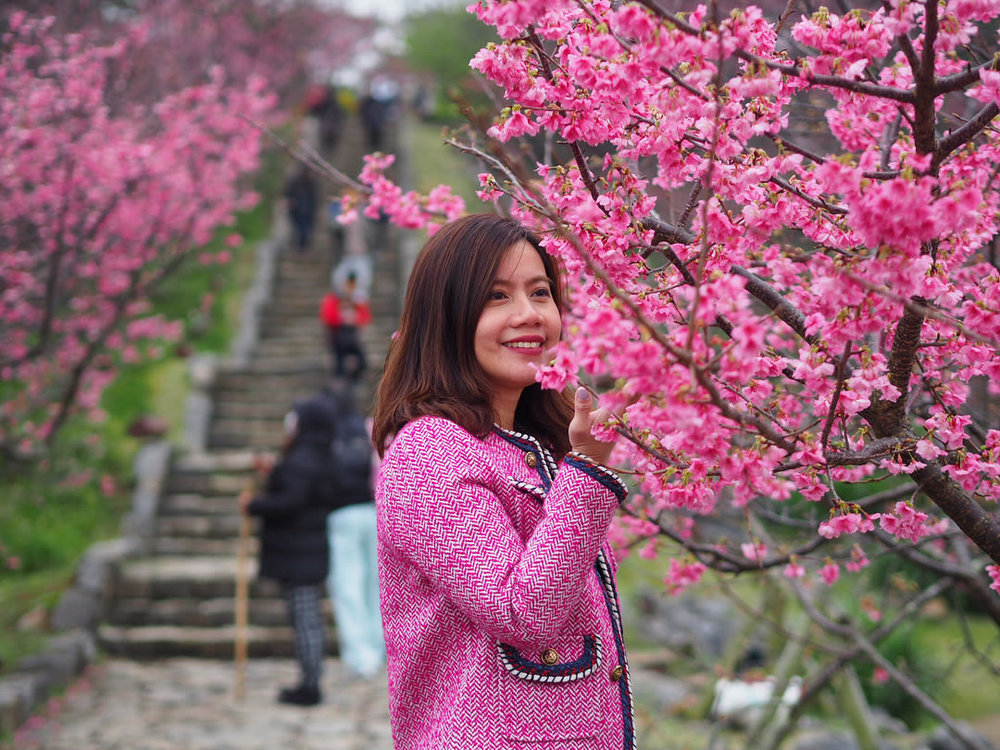 Klook UK Japan Cherry Blossom