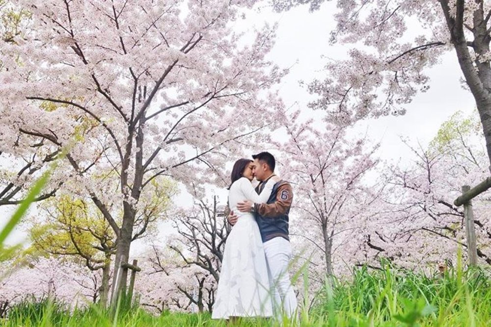 Klook UK Japan Cherry Blossom