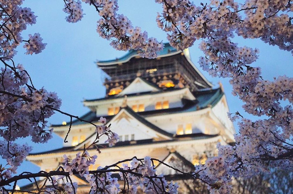 Klook UK Japan Cherry Blossom