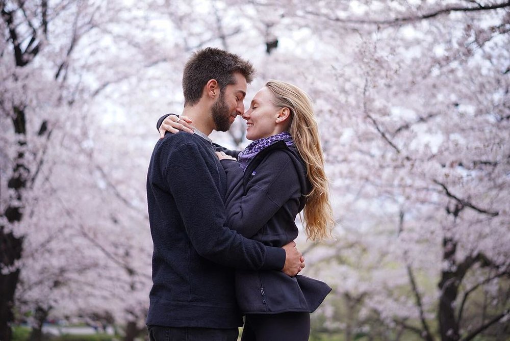 Klook UK Japan Cherry Blossom