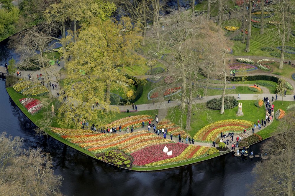 Klook UK Keukenhof Flower Festival
