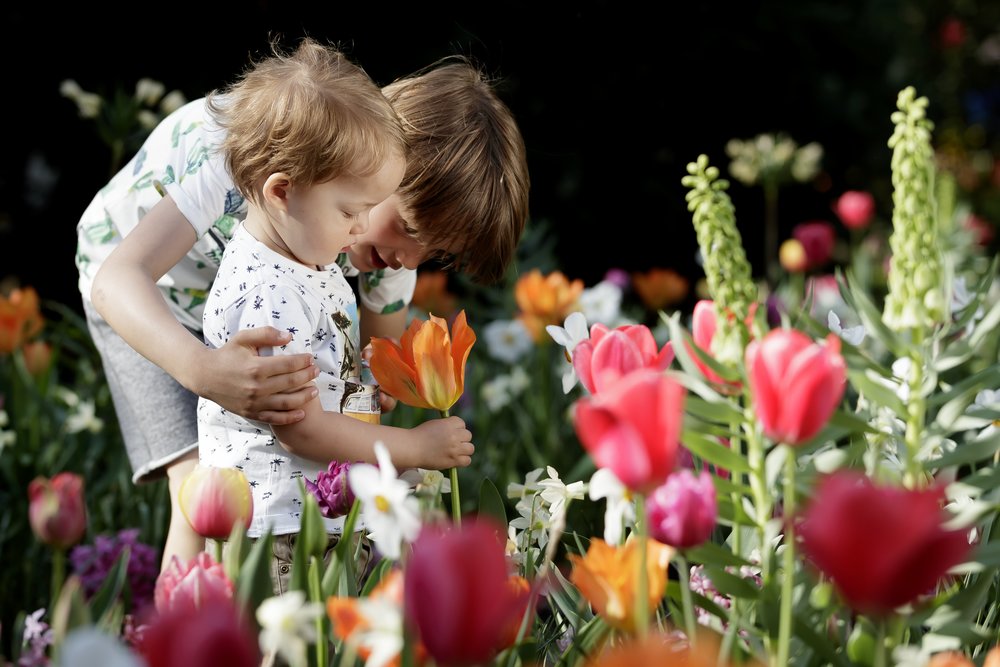 Klook UK Keukenhof Flower Festival
