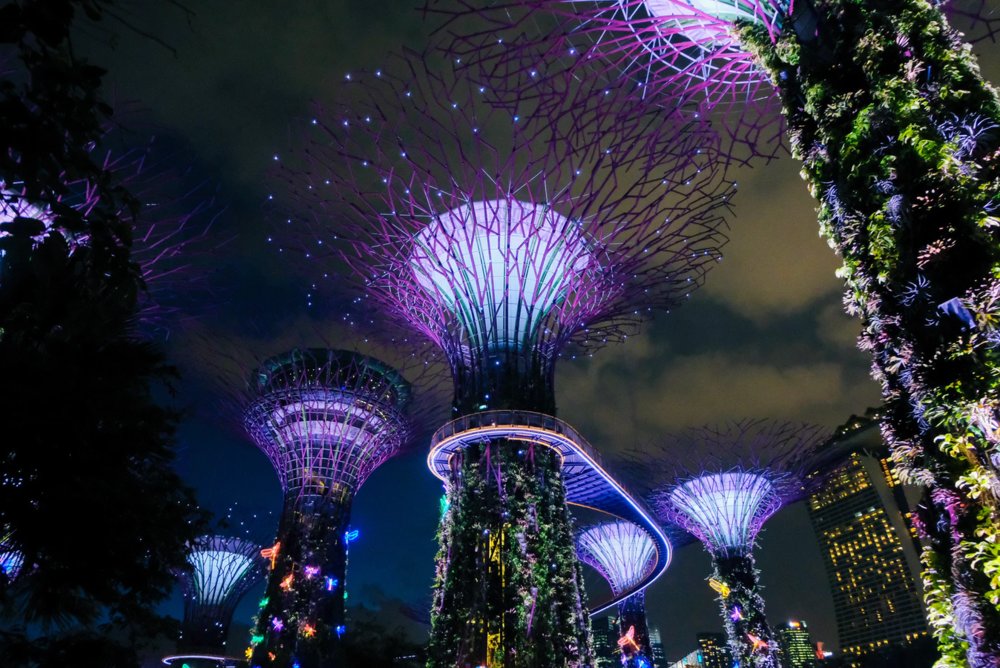 gardens by the bay night