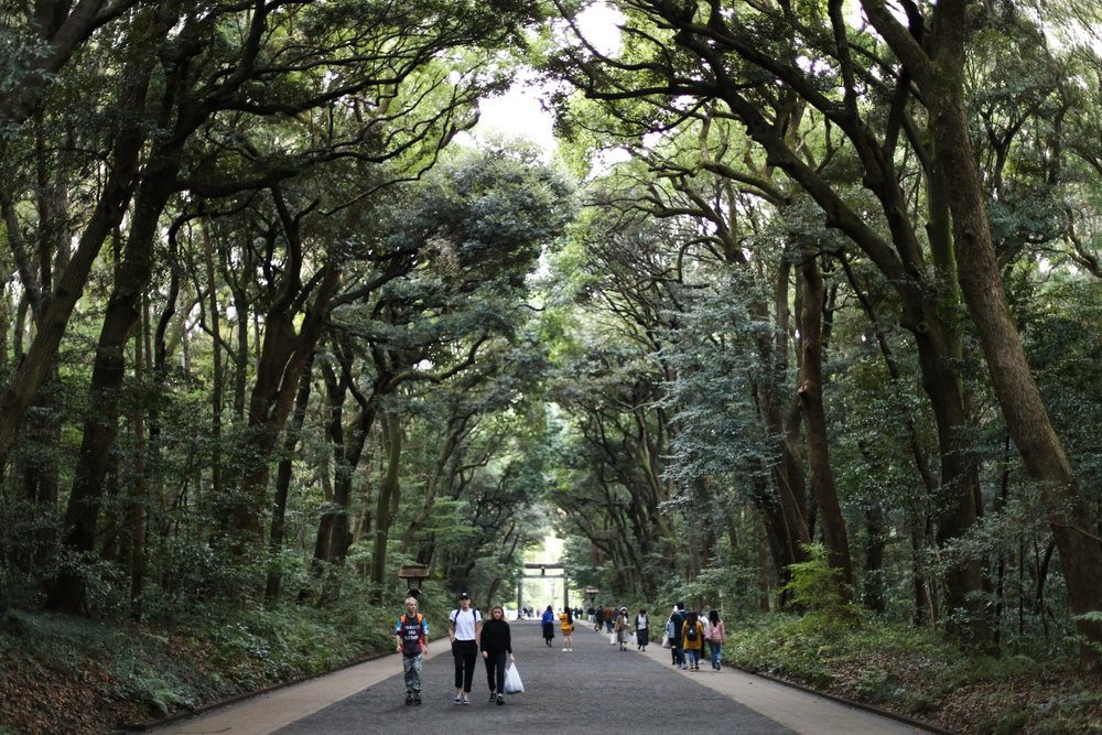 Tokyo Meiji Shrine