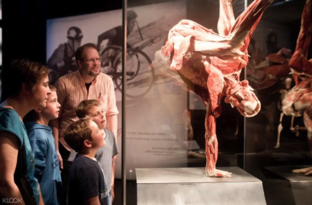 Bodyworlds