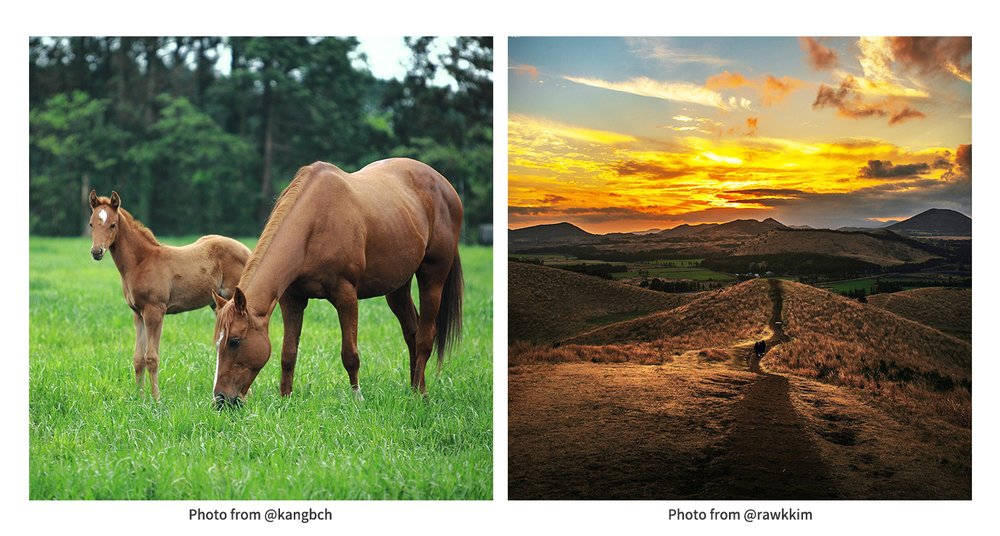 성이시돌 금오름