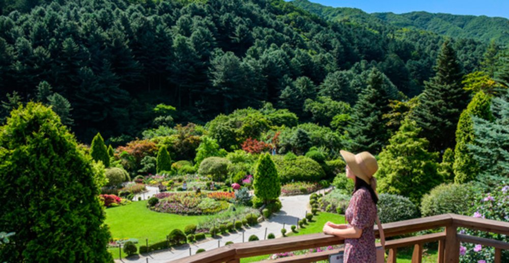 incheon nami island korea 