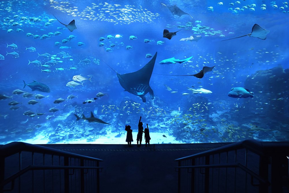 thuy-cung-sea-aquarium-singapore