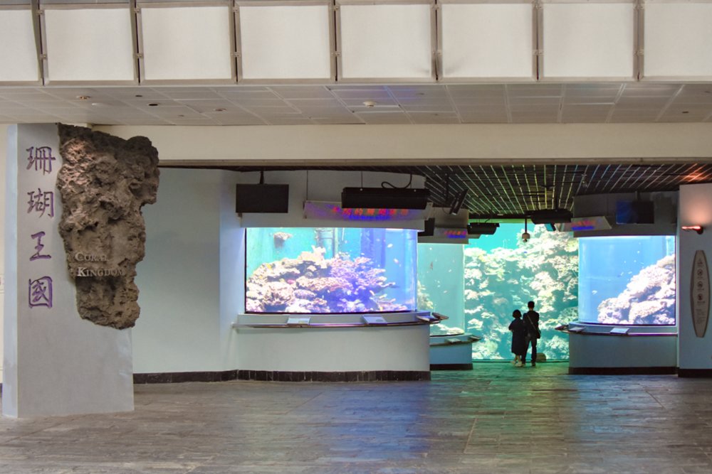 珊瑚王國館