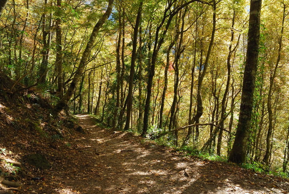 台灣步道 尖石鄉
