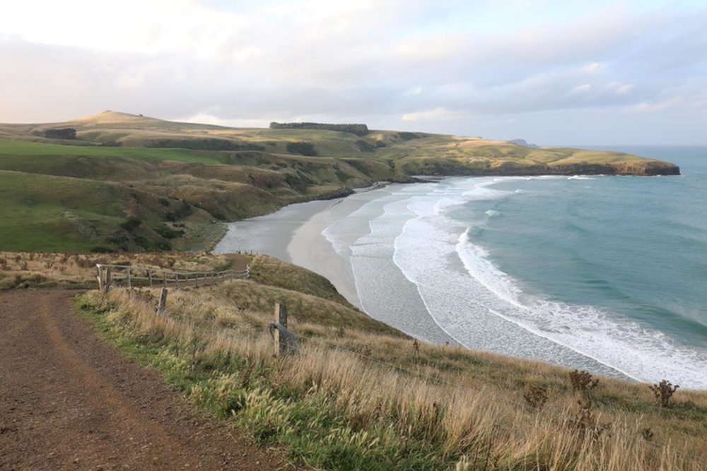 dunedin นิวซีแลนด์