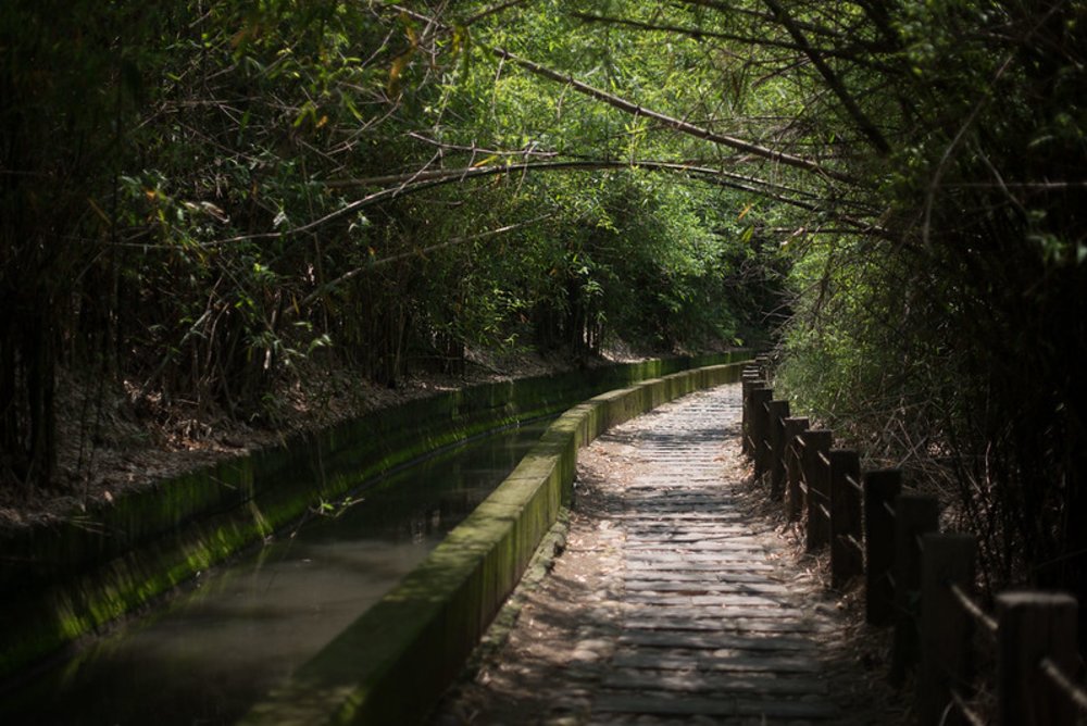 台灣步道 知高圳