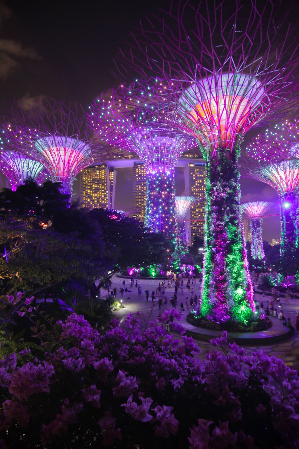garden by the bay สิงคโปร์